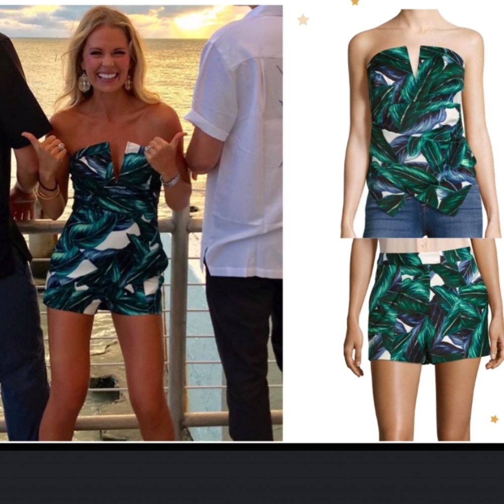 ISO Stylestalker Sierra Palm Shorts & Bustier Top